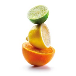 EXPRIMIDOR CITRICOS IBILI 788500