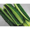 MANDOLINA "V" EASYCOKK IBILI 782000