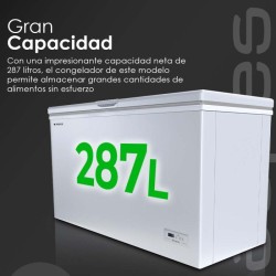 CONGELADOR ASPES ACH 3001EDC 112 300L DUO