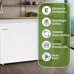CONGELADOR ASPES ACH 3001EDC 112 300L DUO