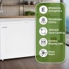 CONGELADOR ASPES ACH 3001EDC 112 300L DUO